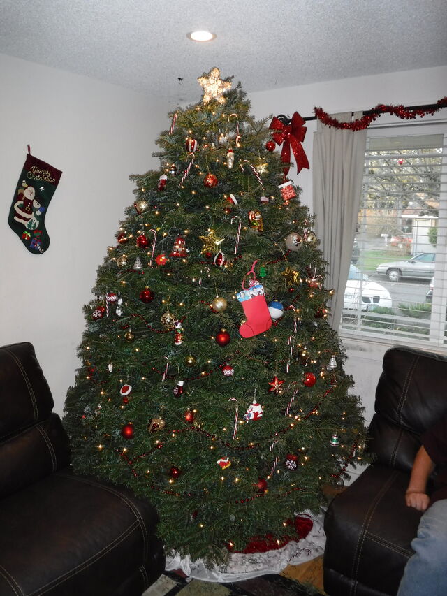 File:DSCF0006.jpg