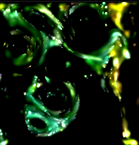 File:Picture 8.png