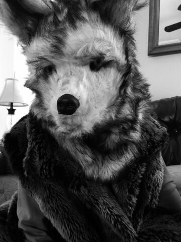 File:Wolfurs.jpeg