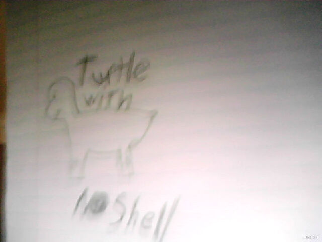 File:Turtle no shell.jpg