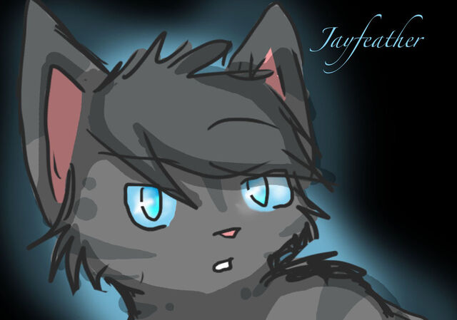 File:Jayfeather-3-warrior-cats-29838764-900-631.jpg