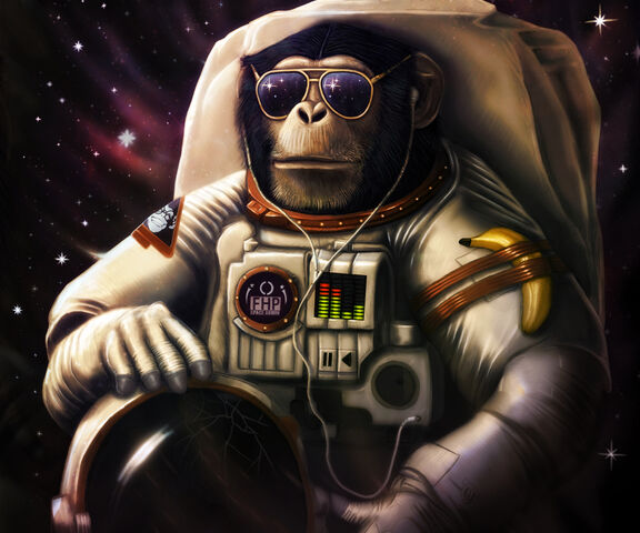 File:Space Chimp-wallpaper-10890459.jpg