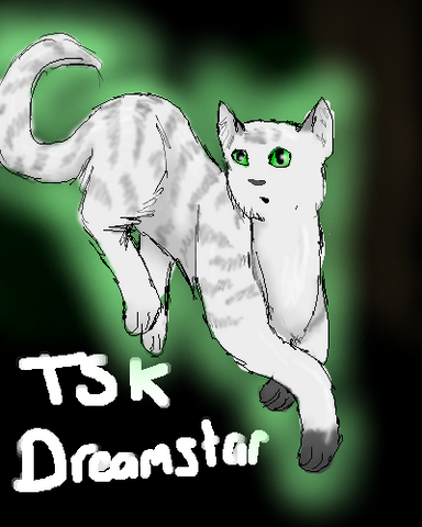 File:TSK- Dreamstar.png