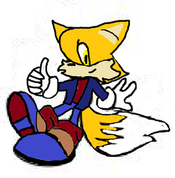 HollyRedesign