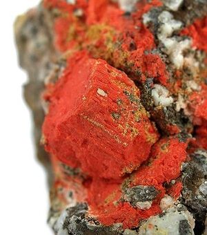 Minium-232909.jpg