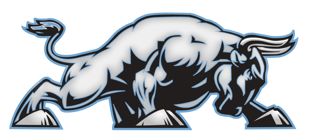 File:Birminghambulls cfalogo2.png