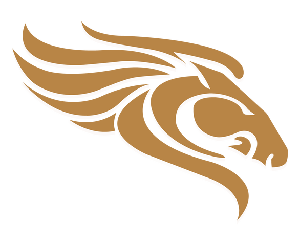 File:Saintlouisstallions logo08darkgold1500.png