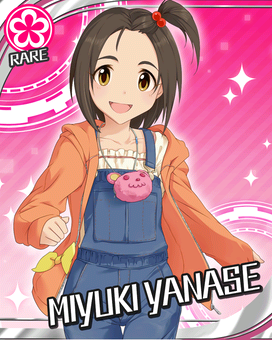Card 100017 xl