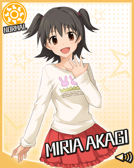 Card 300013 xl