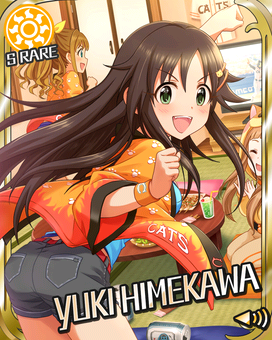 Card 300357 xl