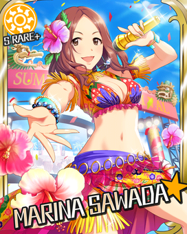 Card 300380 xl