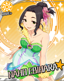 Card 300298 xl