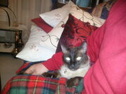 Foto0005.jpg