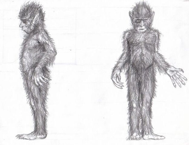 File:Tokoloshe4.jpg