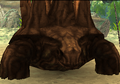 Thumbnail for version as of 17:13, September 15, 2010