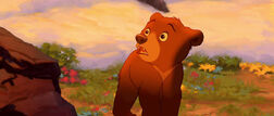 Brother-bear-disneyscreencaps.com-9003
