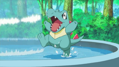 Ash's Totodile