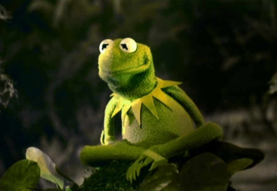 the frogs characters the frogs characters