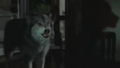 Thumbnail for version as of 00:27, June 14, 2011