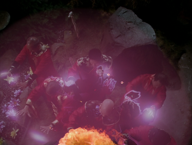 File:8x14P3.png