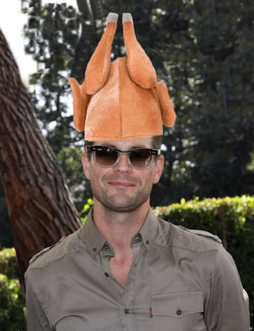 File:GaleTurkeyHead.jpg