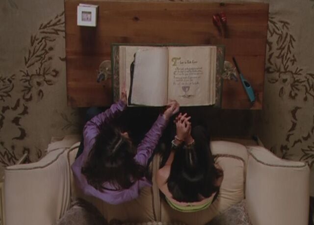 File:2x07-bos-to-lure-an-evil-spirit.jpg