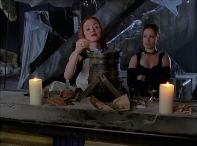 File:Paige & piper cole vanquishing potion 5x12.jpg