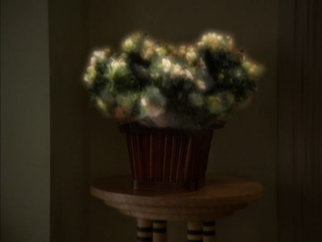 File:5x19P41.png
