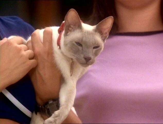 File:1x01-Kit.jpg