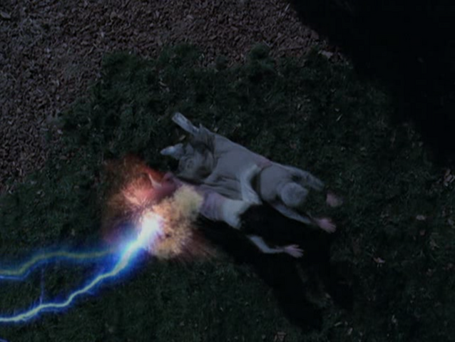 File:5x14P13.png