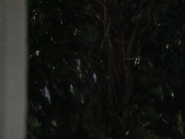File:5x18P2.png
