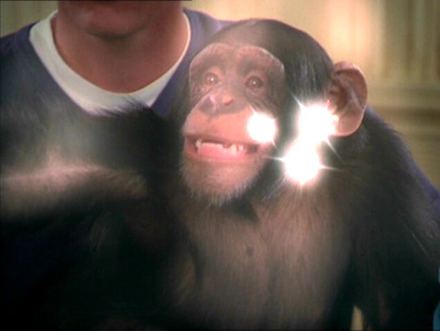 File:MonkeyPower.jpg