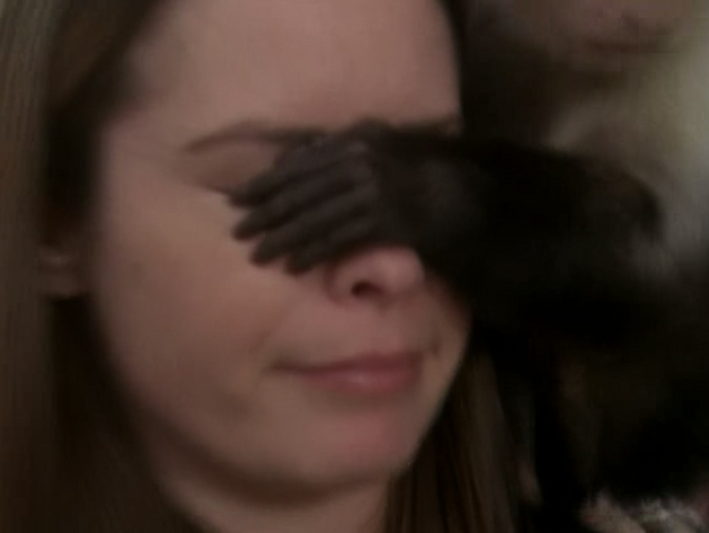 File:5x20P11.png