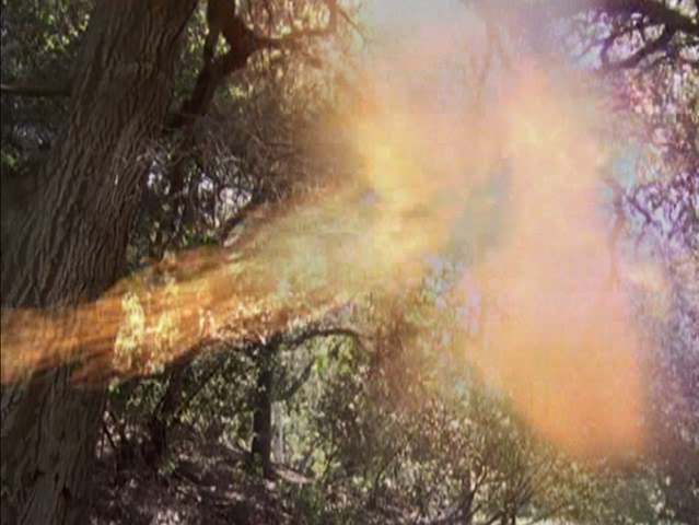 File:5x23P22.png