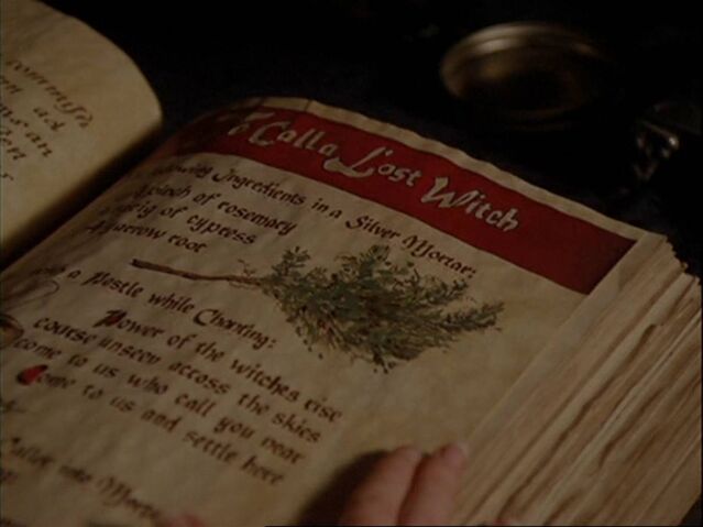 File:ToCallALostWitch.jpg
