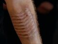 Thumbnail for version as of 00:01, April 10, 2009