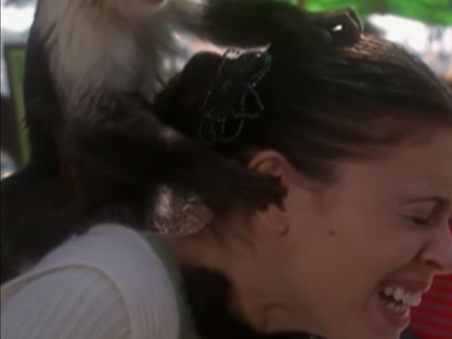 File:5x20P9.png