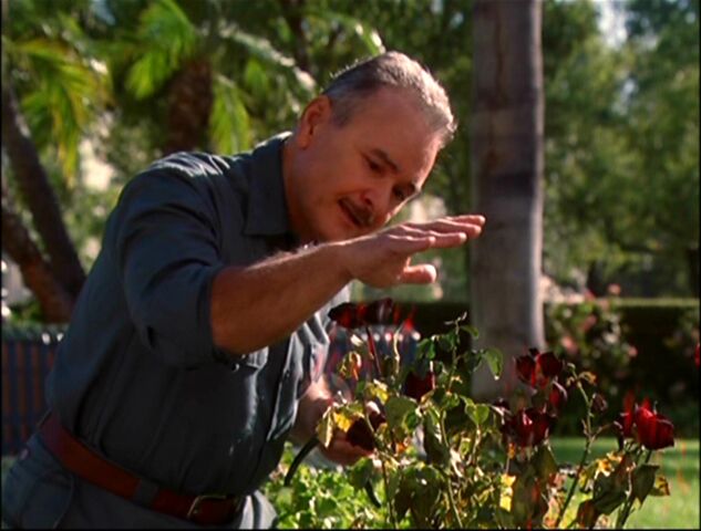 File:Soothsayer2.jpg