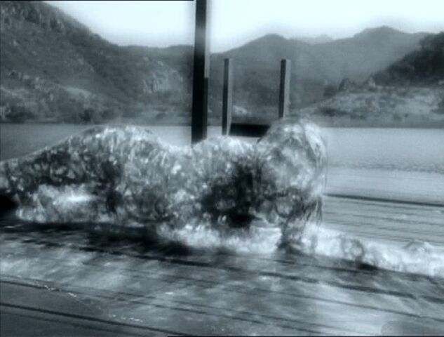 File:Waterdemonpatt2.jpg