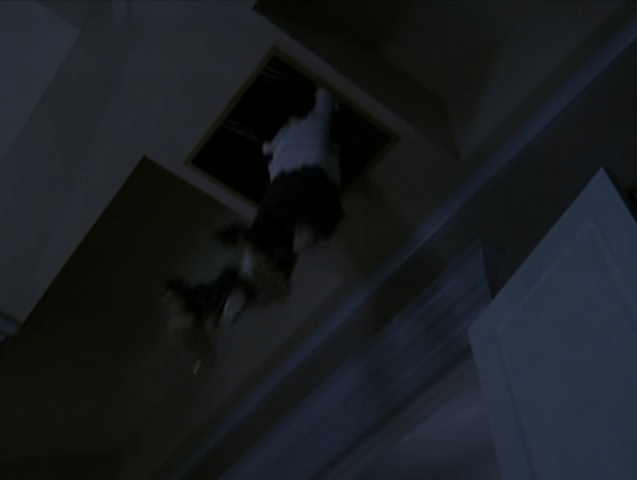 File:5x11P38.png