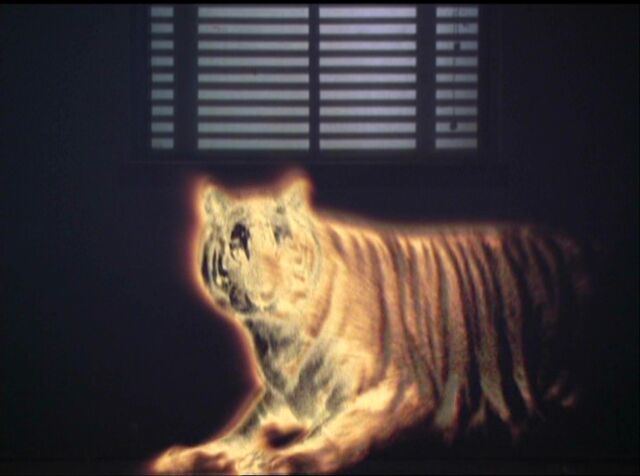 File:Thought Projection.jpg