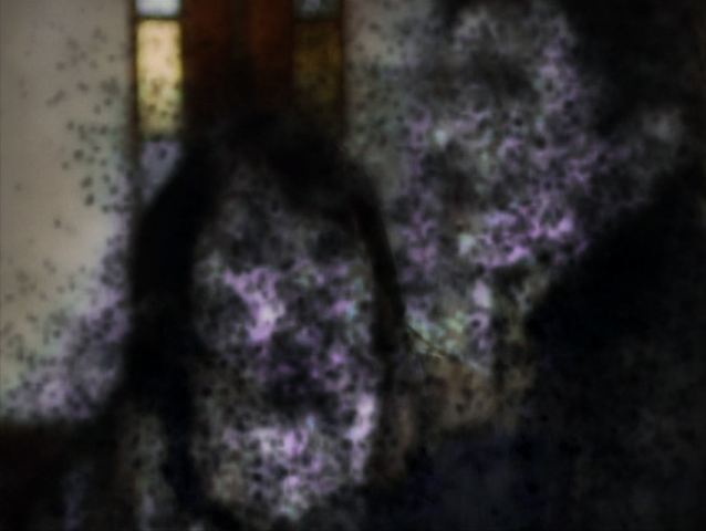 File:8x19P13.png