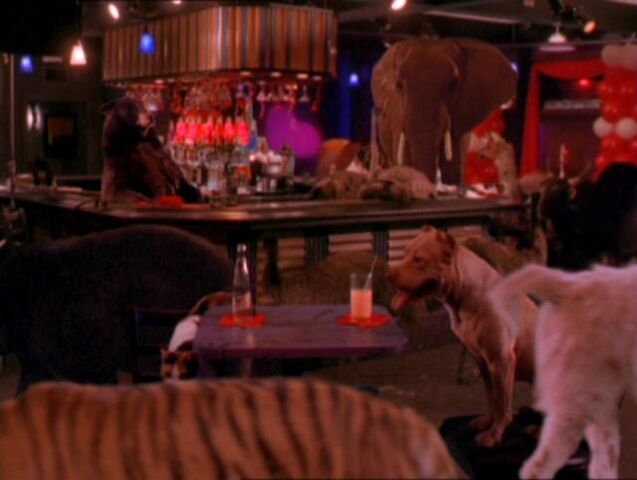 File:Animal-spell-effect.jpg