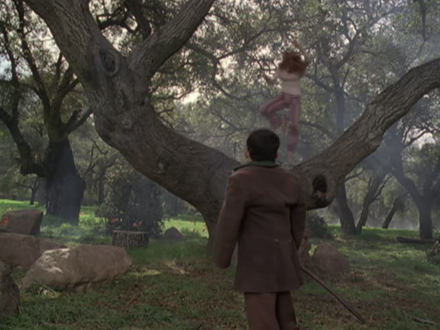 File:5x17P13.png
