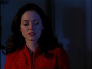 4x20-PaigeCole