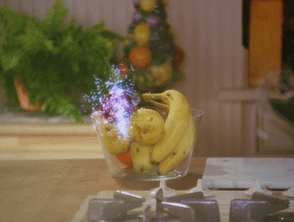 PaigeTKOApplePhoebe.gif