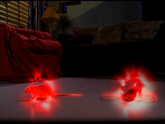 File:Charmed511 110.jpg