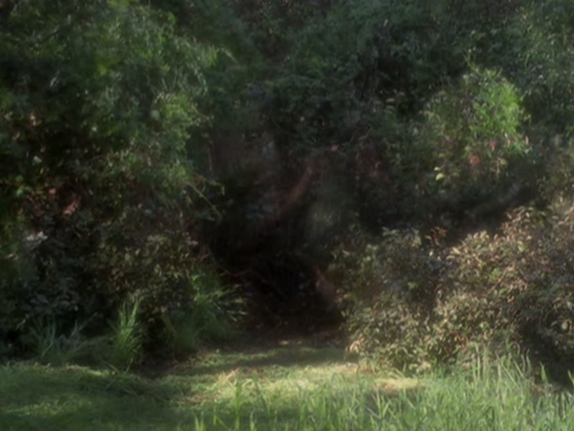 File:5x19P26.png