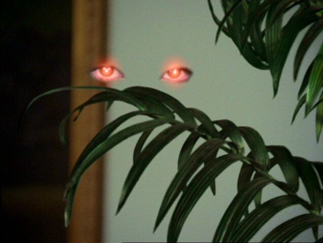 File:Voyeurism.jpg