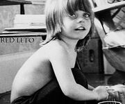 Lestat toddler